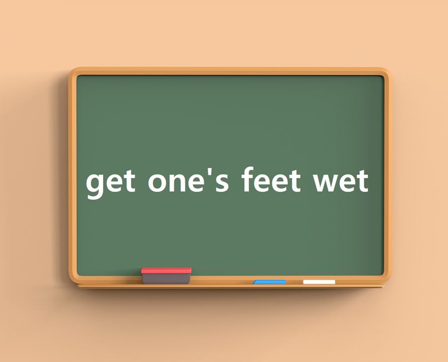 get one's feet wet